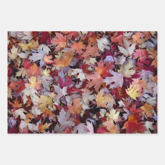 Rustic Fallen Arbre d'automne Feuille Motif (Devant)