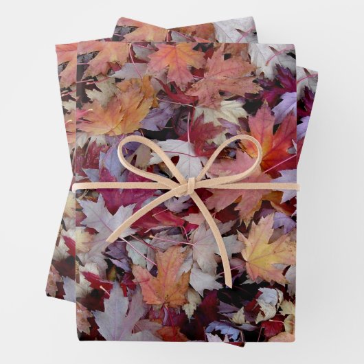 Rustic Fallen Autumn Tree Leaves Pattern Inpakpapier Vel (In situ)