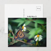 Rustic-foto | Monarch en Briefkaart van wilde bloe (Voorkant / Achterkant)