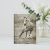 Rustic Galloping Andalusiaanse paarden Briefkaart (Staand voorkant)
