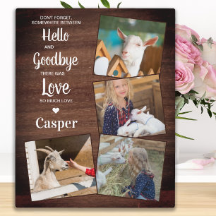 Rustic Hallo Goodbye Pet Memorial Keepslag 4 Foto Fotoplaat