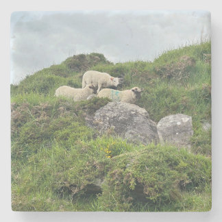 Rustic Ireland - Drie Ierse schapen Stenen Onderzetter