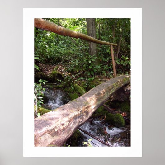 Rustic Log Bridge Poster (Voorkant)