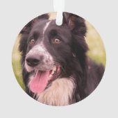 Rustic Memorial Pet Loss Fotokerstmis Ornament (achterkant)