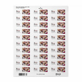 Rustic Merry and Bright Photo Return Address Etiket (Full Sheet)