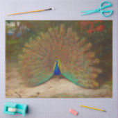  Rustic Peacock Peacocks - Ontwerpen Tissuepapier (Craft)