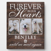 Rustic Pet Dog Memorial Photo Keepsaké Plaque (Devant)