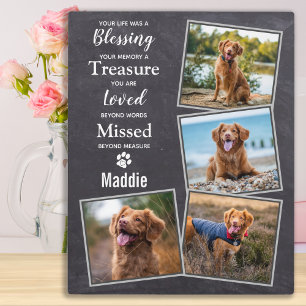 Rustic Pet Photo Collage Dog Memorial Fotoplaat