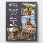 Rustic Pet Photo Collage Dog Memorial Fotoplaat (Voorkant)