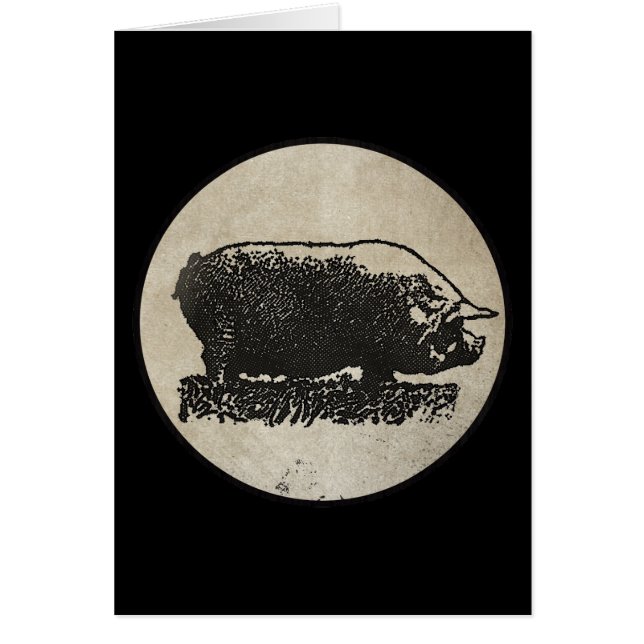 Rustic Pig Etching (Voorkant)