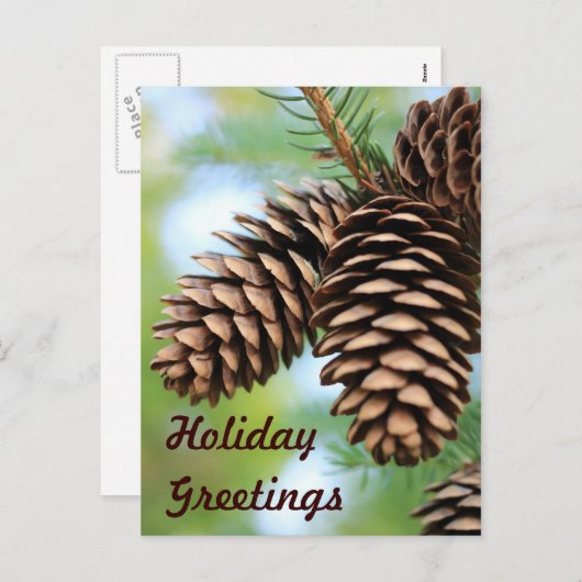 Rustic Pine Cones Briefkaart (Voorkant / Achterkant)
