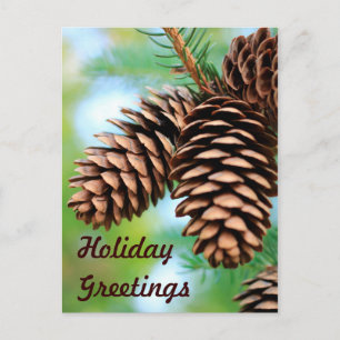 Rustic Pine Cones Briefkaart