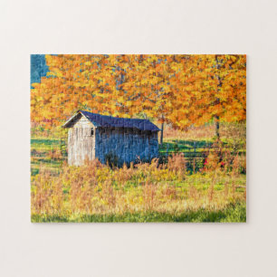 Rustic Shed - Herfst Foliage Puzzle Legpuzzel