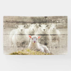Rustic Sheep Baby Lamb Burlap Spandoek