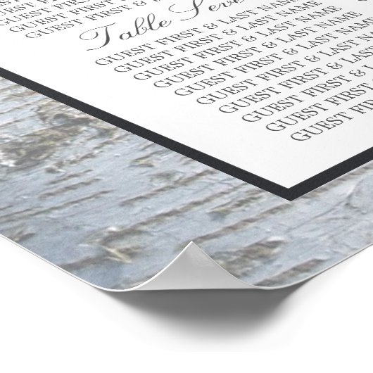 Rustic Silver Birch Tree Wedding Seating Chart Poster (Hoek)
