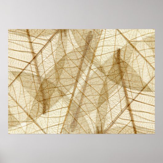 Rustic Spure Lace Leaves Poster (Voorkant)