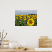 Rustic Sunflower Field Harvest Poster (Keuken)