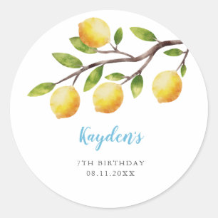 Rustic Sweet Lemon Boy Birthday Party  Ronde Sticker