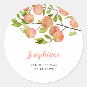 Rustic Sweet Peach Girl Birthday Party Ronde Sticker