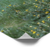 Rustic Tractor Poster (Hoek)