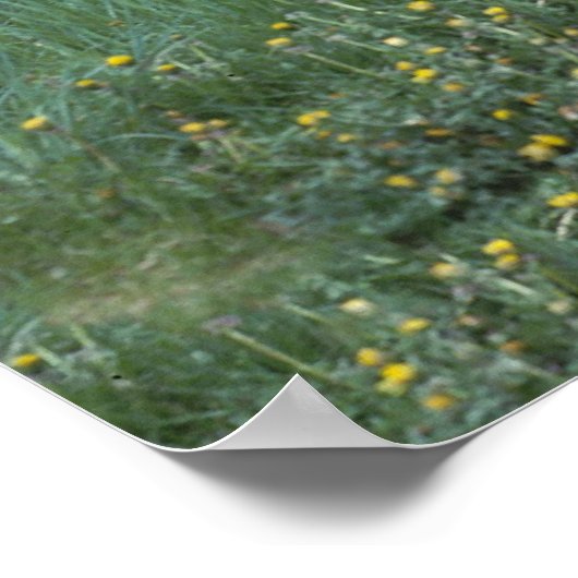 Rustic Tractor Poster (Hoek)