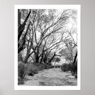 Rustic Trail met Trees Poster