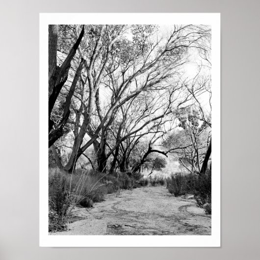 Rustic Trail met Trees Poster (Voorkant)