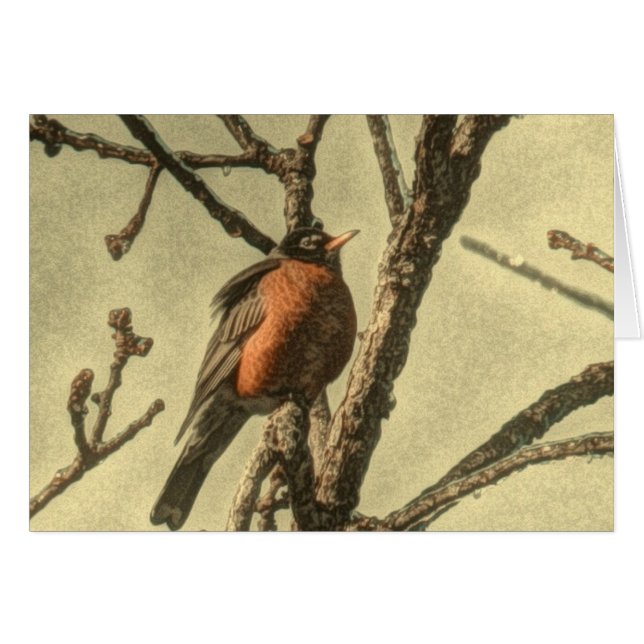 Rustic Tree branches Michigan State Bird Robin (Devant horizontal)