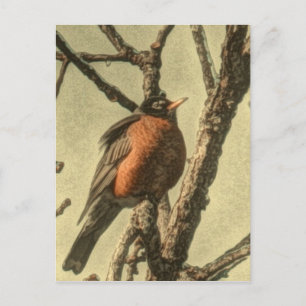 Rustic Tree vertakt Michigan State Bird Robin Briefkaart