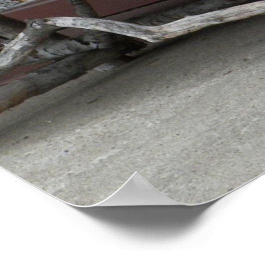 Rustic Twig Bench & Flowers Poster (Hoek)