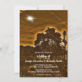 Rustic twinkle light country wedding invitation (Devant)