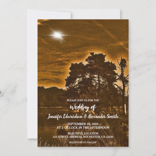 Rustic twinkle light country wedding invitation (Devant)