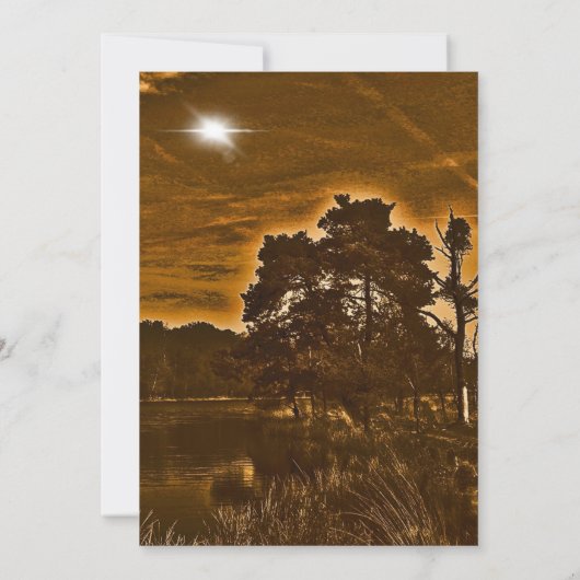 Rustic twinkle light country wedding invitation (Dos)