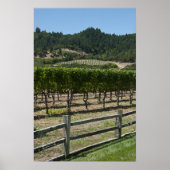 Rustic Vineyard Grape Fields Poster (Voorkant)