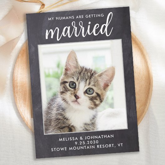 Rustic Wedding Simple Custom Pet Photo Cat Dog Save The Date