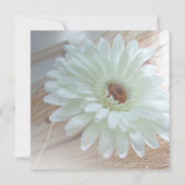 Rustic White Daisy Bridal Shower Invitations Kaart (Achterkant)