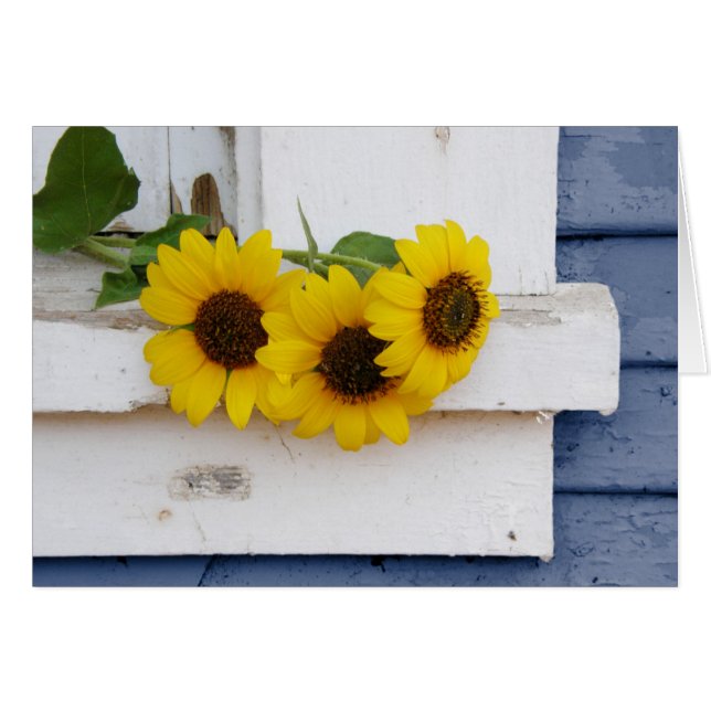 Rustic Windows sill (Voorkant Horizontaal)