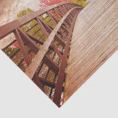 Rustic Wooden Bridge in het land Tissuepapier (Detail)