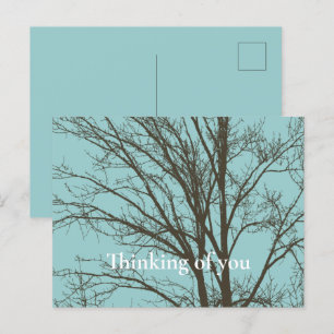Rustiek Blauw Bruine Boom Branches Briefkaart
