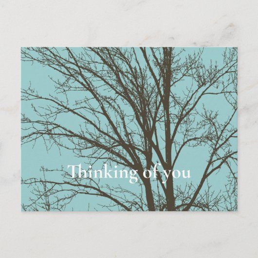 Rustiek Blauw Bruine Boom Branches Briefkaart (Voorkant)