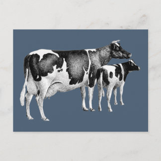  rustiek Boerderij Koe kalf tekenen blauw wit Briefkaart