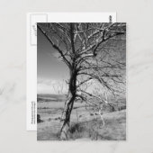 Rustiek Briefkaart (Voorkant / Achterkant)