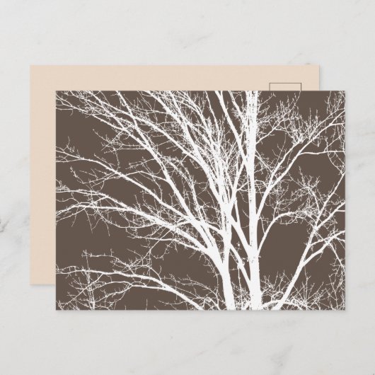 Rustiek Bruin Witte Boom Branches Briefkaart (Voorkant / Achterkant)