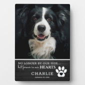 Rustiek huisdier voor altijd in onze harten | Foto Fotoplaat (voorkant)