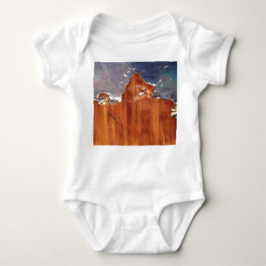 Rustiek metaal: ijzeren textuur. romper (Voorkant)