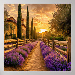 Rustiek pad omzoomd met Lavender Fields Sunset Poster