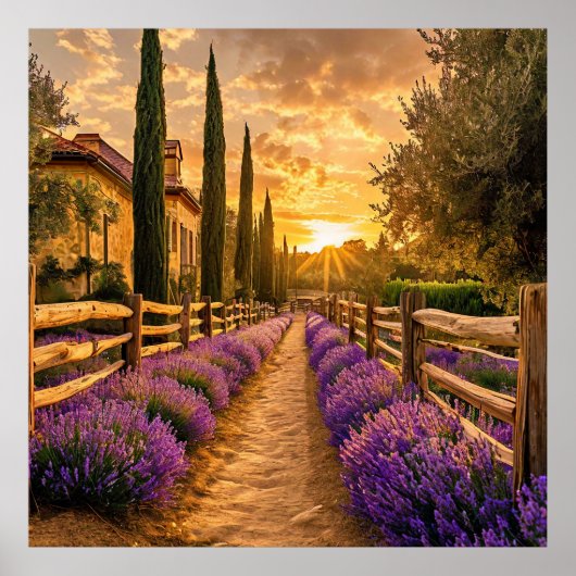 Rustiek pad omzoomd met Lavender Fields Sunset Poster (Voorkant)