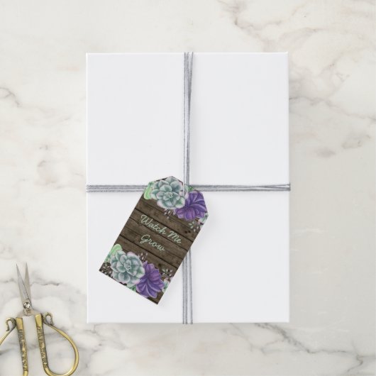 Rustiek Succulent Bekijk me Grow Baby shower Cadeaulabel (Met Touw)