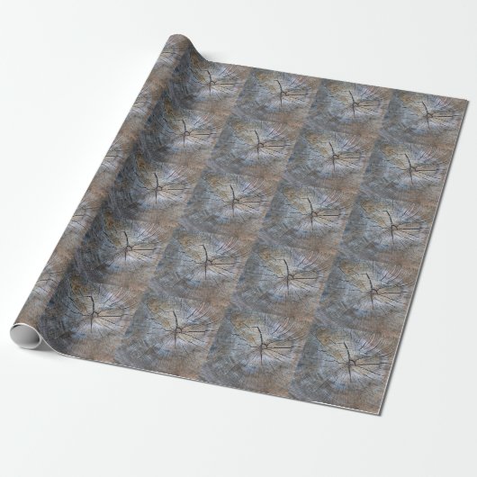 Rustiek Tree ring patroon Cadeaupapier (Uitgerold)