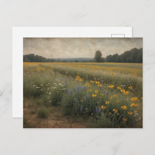 rustiek wildflower veld zomerlandschap briefkaart (Voorkant / Achterkant)